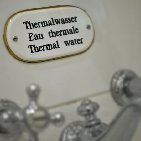 Hotel Badischer Hof - Leonardo Limited Edition