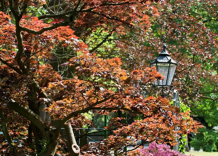 Badischer Hof - Leonardo Limited Edition 5*